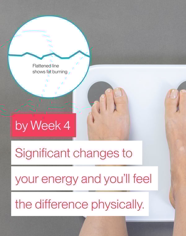 Week 3